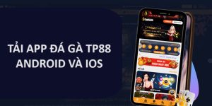 App Đá Gà TP88: Lợi Ích, Hướng Dẫn Cài Đặt Và Các Lưu Ý