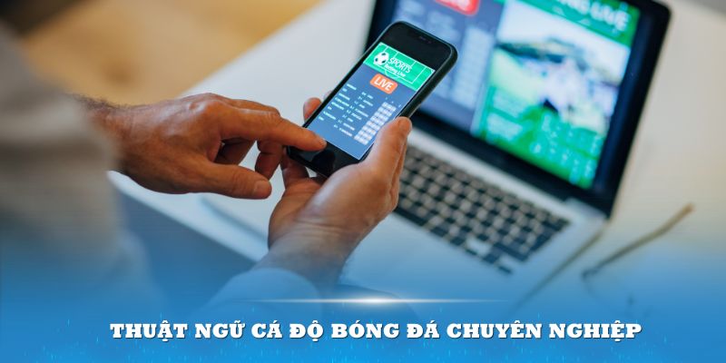 Áp dụng những thuật ngữ cá độ bóng đá chuyên nghiệp để luôn hiểu rõ về trận đấu